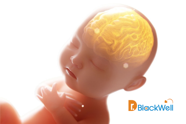 Vì sao trẻ sinh non nên uống DHA Drops